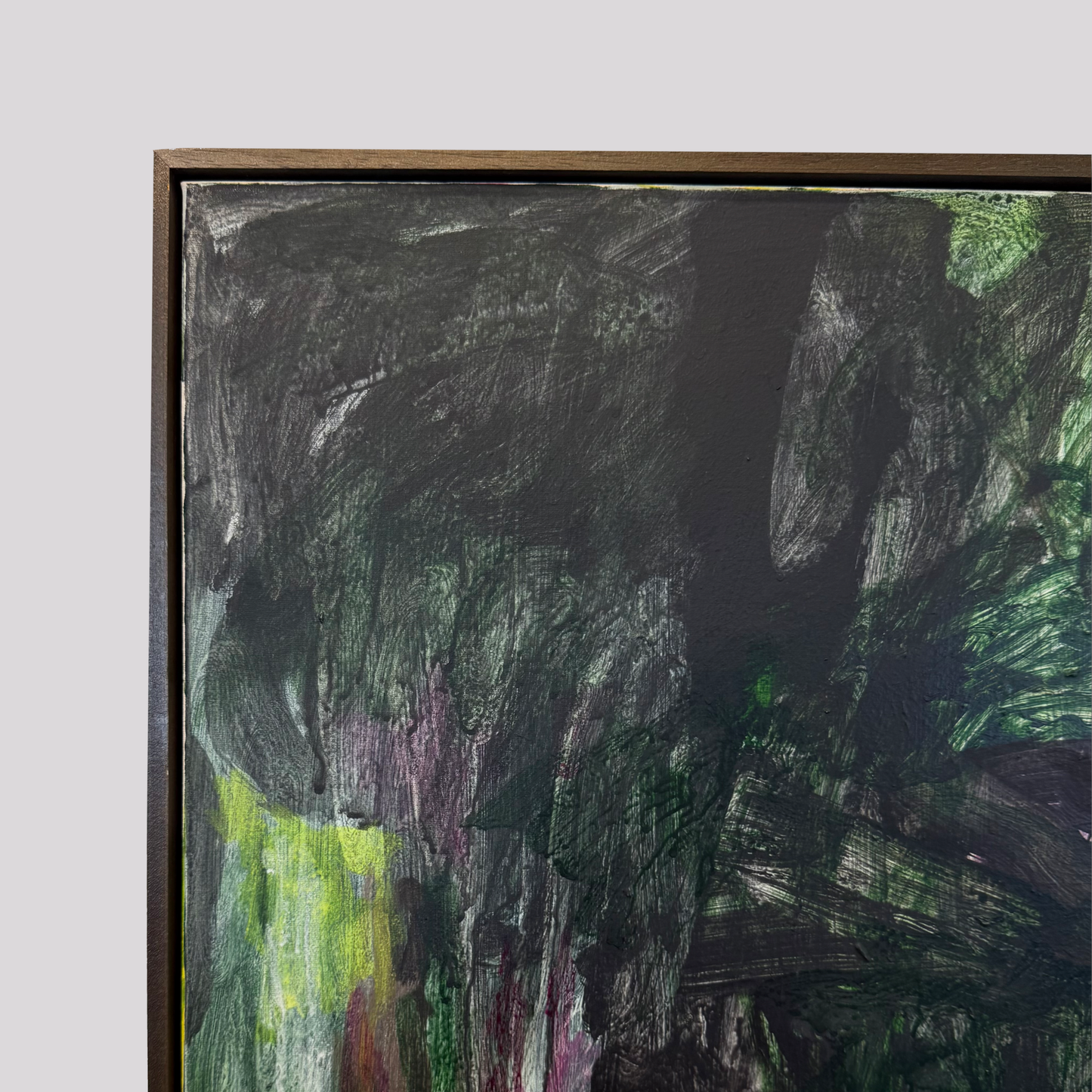 Jasper Kuyer - "Trippen met Alice in Wonderland"