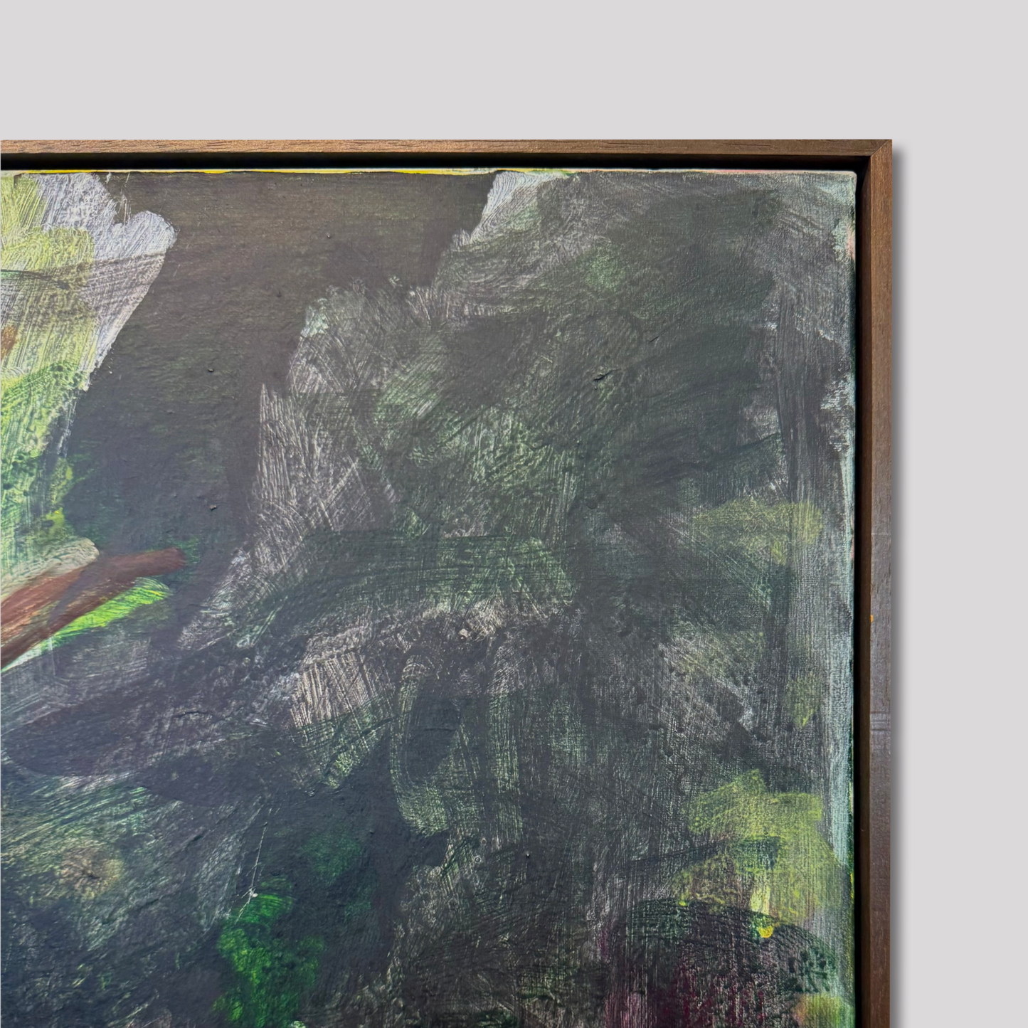 Jasper Kuyer - "Trippen met Alice in Wonderland"
