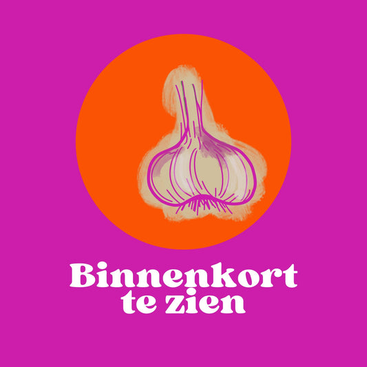 Olieverf-schilderij-Frans-Koppelaar
